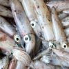 Squid Are Having Sex With Your Mouth, Even After They're Par-Boiled